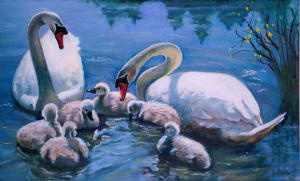 Swan Family, 16 x 26