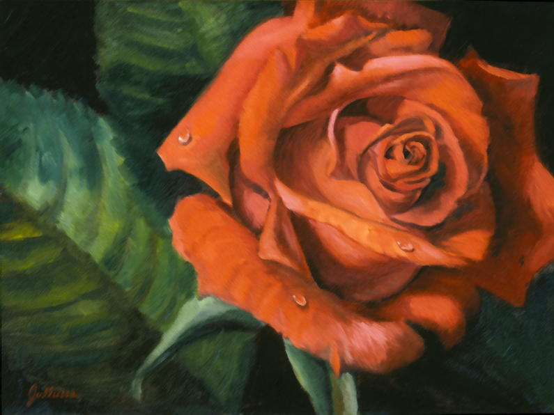 Rose from Lisa's Garden, 12 x 16